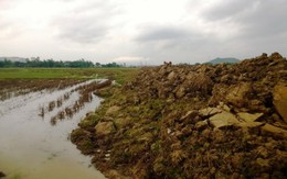 Bình Định: Nguy cơ ngập úng lúa do công trình thi công Quốc lộ 19 mới