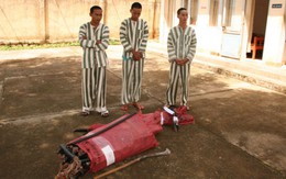 Bắt nhóm cắt trộm cáp viễn thông