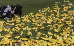 Hàn Quốc bắt chủ phà chở quá tải gây tai nạn Sewol