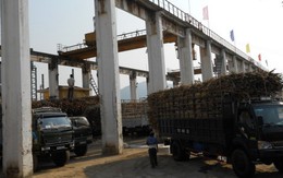 Công ty đường nợ 45 tỉ đồng, nông dân điêu đứng