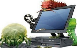 Tải file lậu, lây nhiễm mã độc tăng gấp ba lần