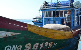 Ngư dân Quảng Ngãi vẫn quyết ra khơi
