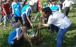 Trồng cây xanh mừng sinh nhật Bác
