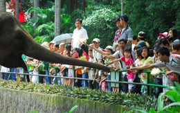 Cho con tuổi thơ hạnh phúc