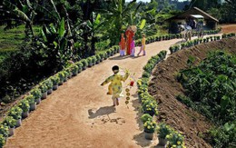 Audio VHGT 293: Quê mình đẹp lắm