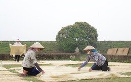 Chiều đình So