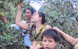 Rủ nhau đi vườn