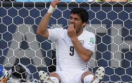 Luis Suarez sắp bị loại khỏi World Cup 2014