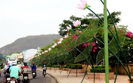 Đường hoa sen ánh sáng ở Nha Trang