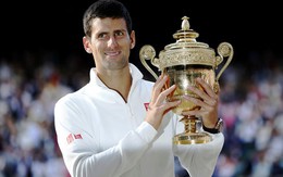 Hạ Federer, Djokovic vô địch Wimbledon 2014