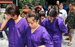Malaysia bắt 13 người Việt nghi khai thác lậu trầm hương