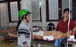 Xe khách đấu đầu, hai tài xế nguy kịch