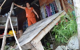 Sống lơ lửng bên miệng "hà bá"