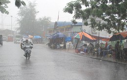 Tàu thuyền từ Quảng Ninh - Thanh Hóa phải về bờ tránh bão