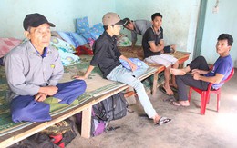 Hầu hết các công ty đều sai phạm