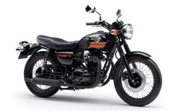 Xe hoài cổ Kawasaki W800 trở lại ngoạn mục