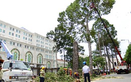 Nhà ga metro ngầm ở TP.HCM sẽ như thế nào?