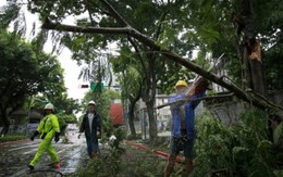 56 người chết do bão Rammasun, Trung Quốc căng mình đón bão mới