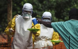 WHO hướng dẫn cách phòng bệnh Ebola