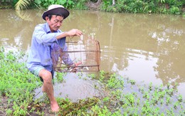 Kế hoạch 20 năm của một "hai lúa"