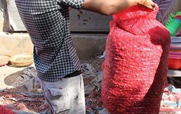 100kg hành, tỏi trừ bì mất 10kg