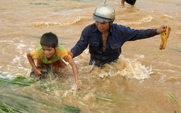 Nhiều thủy điện tự đổi thiết kế