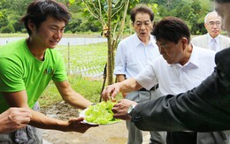Đà Lạt sẽ trở thành "vựa rau châu Á"