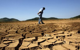 Brazil: hạn hán, hàng ngàn người mất việc