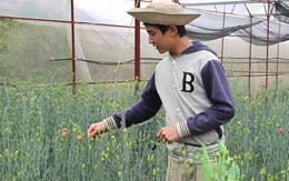​Thợ vườn hoa ngày hè