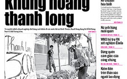 ​Tuổi Trẻ 13-8: Khủng hoảng thanh long