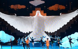 Câu chuyện hòa bình mang nhịp đập tuổi trẻ