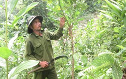 ​Đứng dậy sau cú ngã