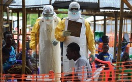 Nguy cơ thiếu lương thực tại các nước bị dịch Ebola