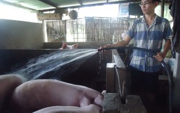 Đứt đoạn đường đến giảng đường