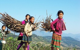 2,57% trẻ em từ 5 - 17 tuổi chưa từng đi học