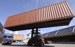 Việt Nam tham gia chương trình toàn cầu kiểm soát container