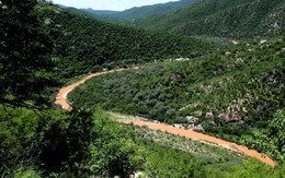 Hóa chất nhuộm màu 60km sông Mexico