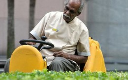 ​Người lao động Singapore làm việc đến 67 tuổi