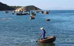 Bạn của Biển