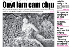 ​Tuổi Trẻ 8-10: Quýt làm cam chịu