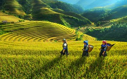 ​Hà Giang chuẩn bị tổ chức hội chợ du lịch Tây Bắc 2014