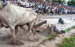 ​Nguy hiểm trên đường đua