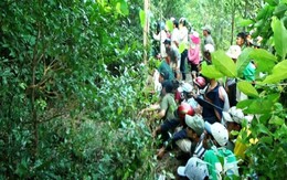 ​Khởi tố, bắt giam nghi can giết cô gái trong rừng