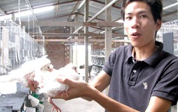 Cùng bạn trẻ làm ăn