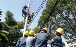 Xe cẩu kéo gãy cột điện, giao thông ùn tắc nhiều giờ
