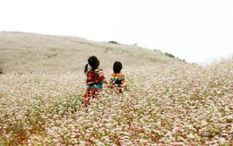 ​Để mỗi chuyến đi thêm yêu Tổ quốc