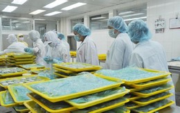 ​Khuyến khích doanh nghiệp trích lập quỹ phát triển KHCN