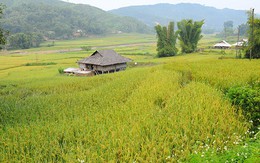 ​Ngày mưa Tây Bắc
