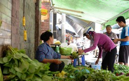 Nỗi lo rau sạch