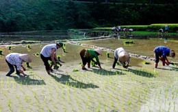 Đến Lũng Vân – nóc nhà xứ Mường